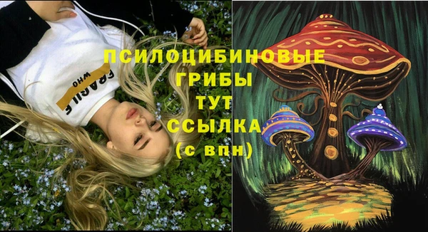 каннабис Алзамай